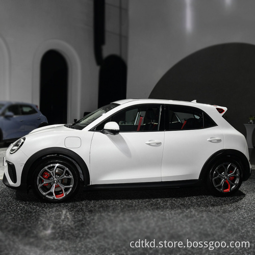 China Popular Brand Ora New Energy Mulan Versi